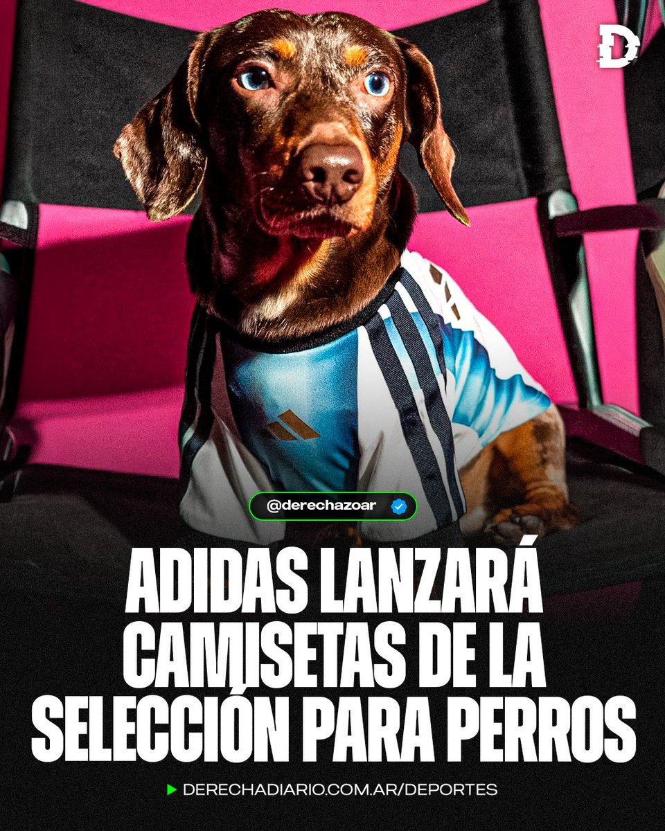 Derechazo tweet media