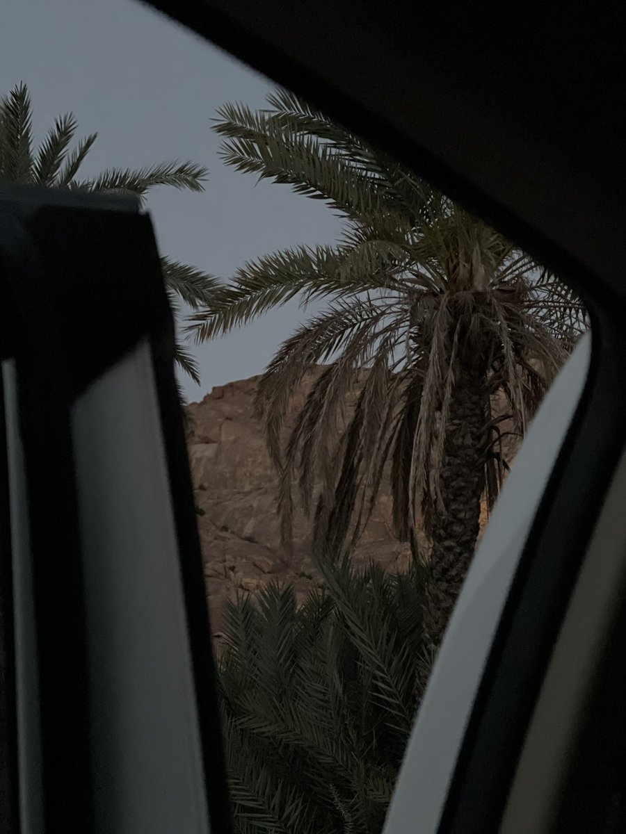 ميعاد. tweet media