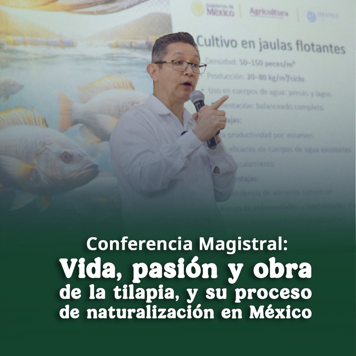IMIPAS tweet media