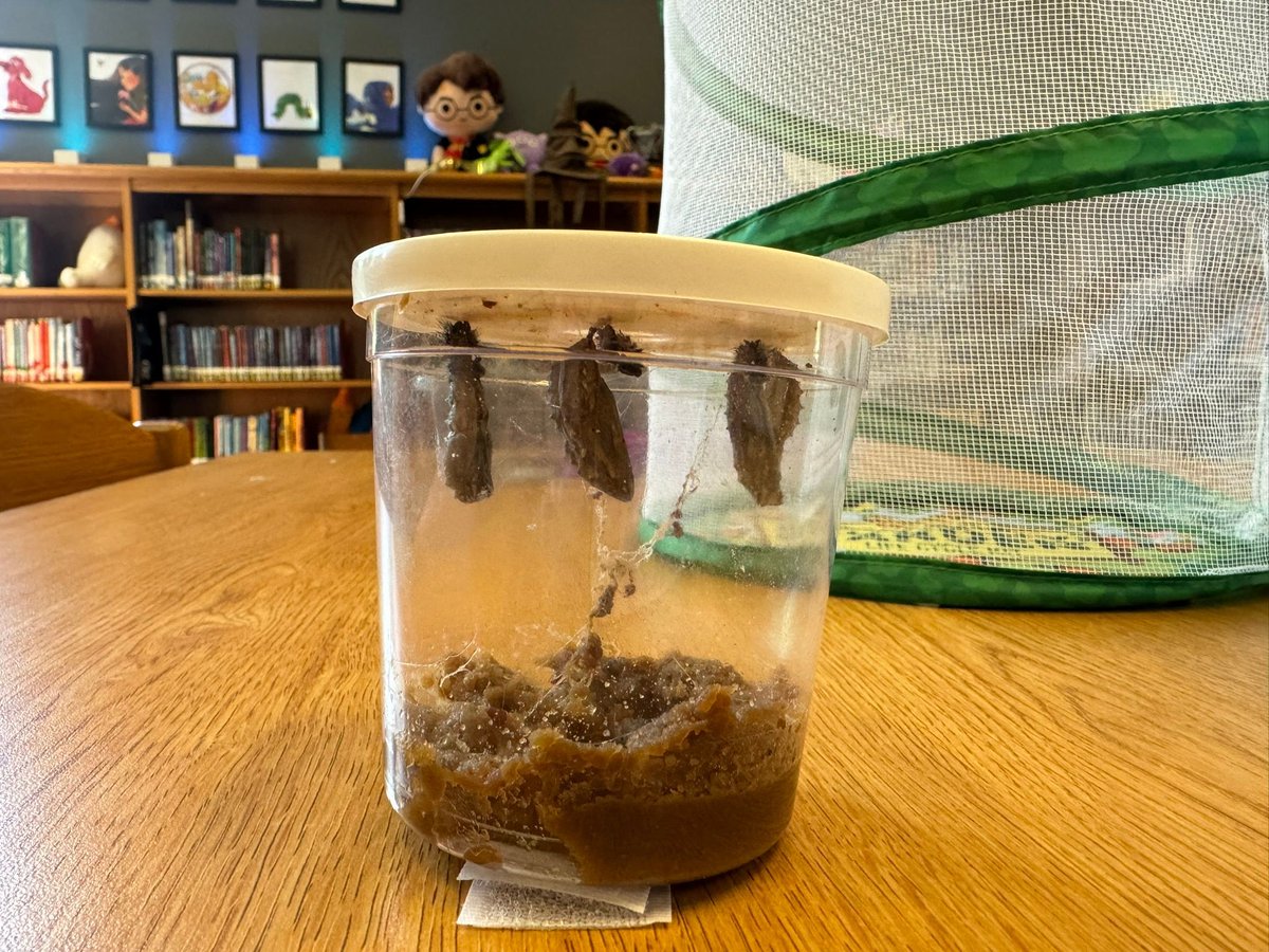 MrsLibraryLady8's tweet photo. Kindergarten, 1st and 2nd grade learned more about Earth Day last week. We sorted items that can be recycled and practiced reducing and reusing through a Wixie assignment. #EarthDay #ReduceReuse https://t.co/0w484JNT0H