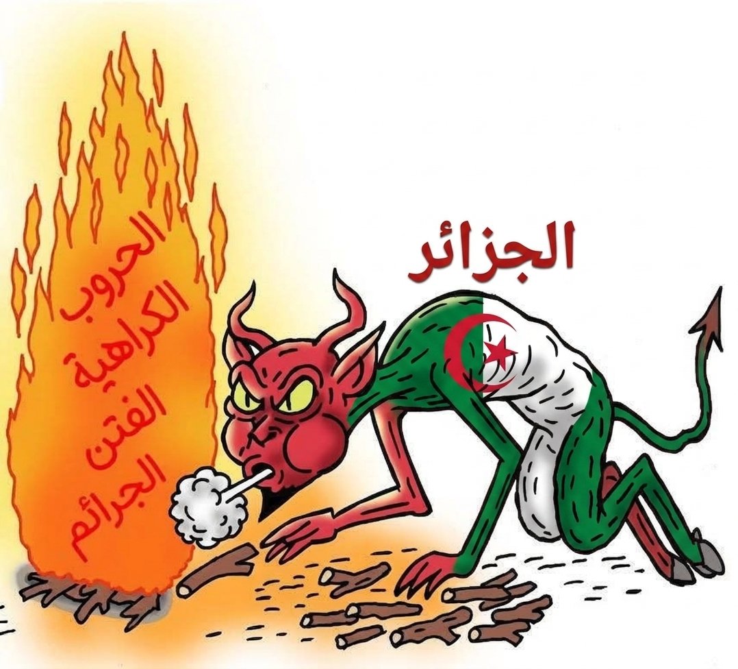 عبد المجيد bou 🇲🇦🇲🇦 tweet media