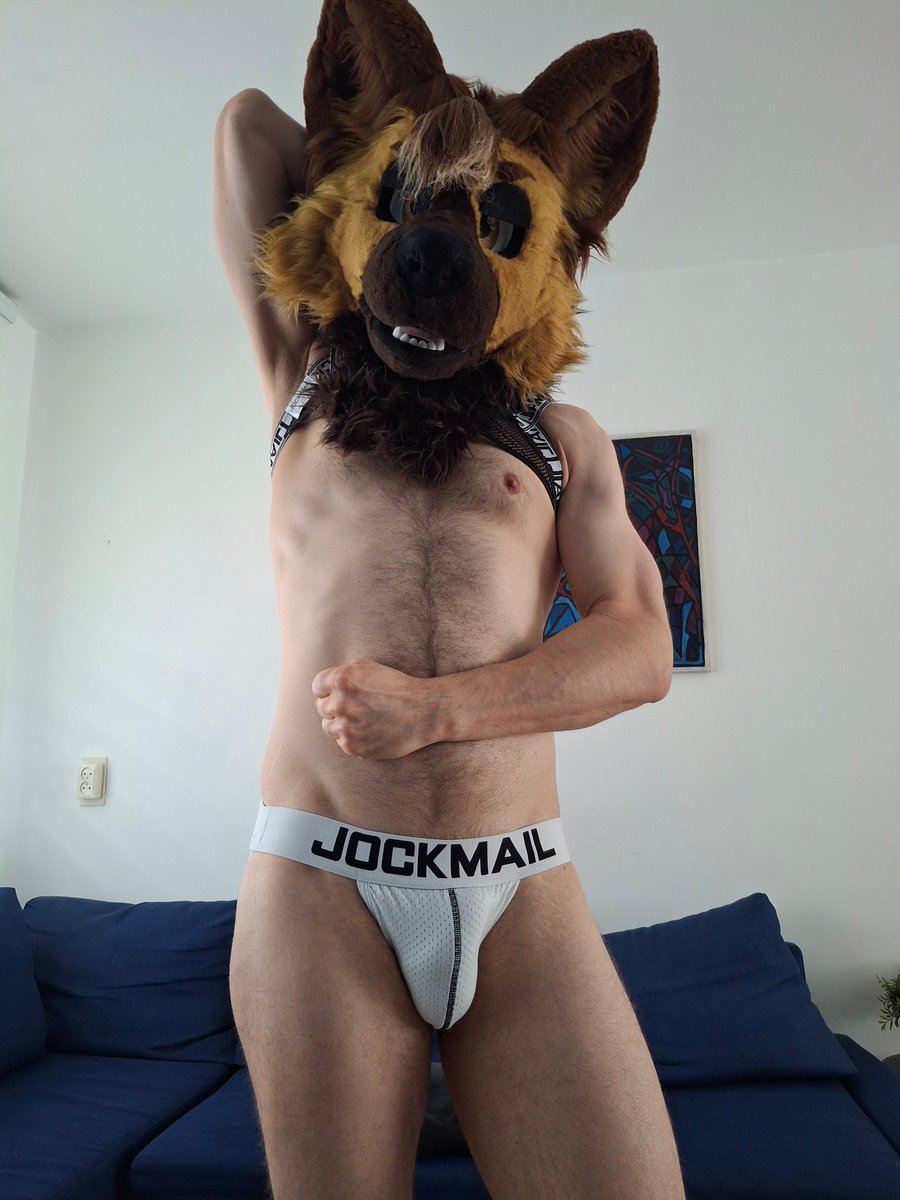 🔞DutchTheDogMan 🔜 Eurofurence tweet media