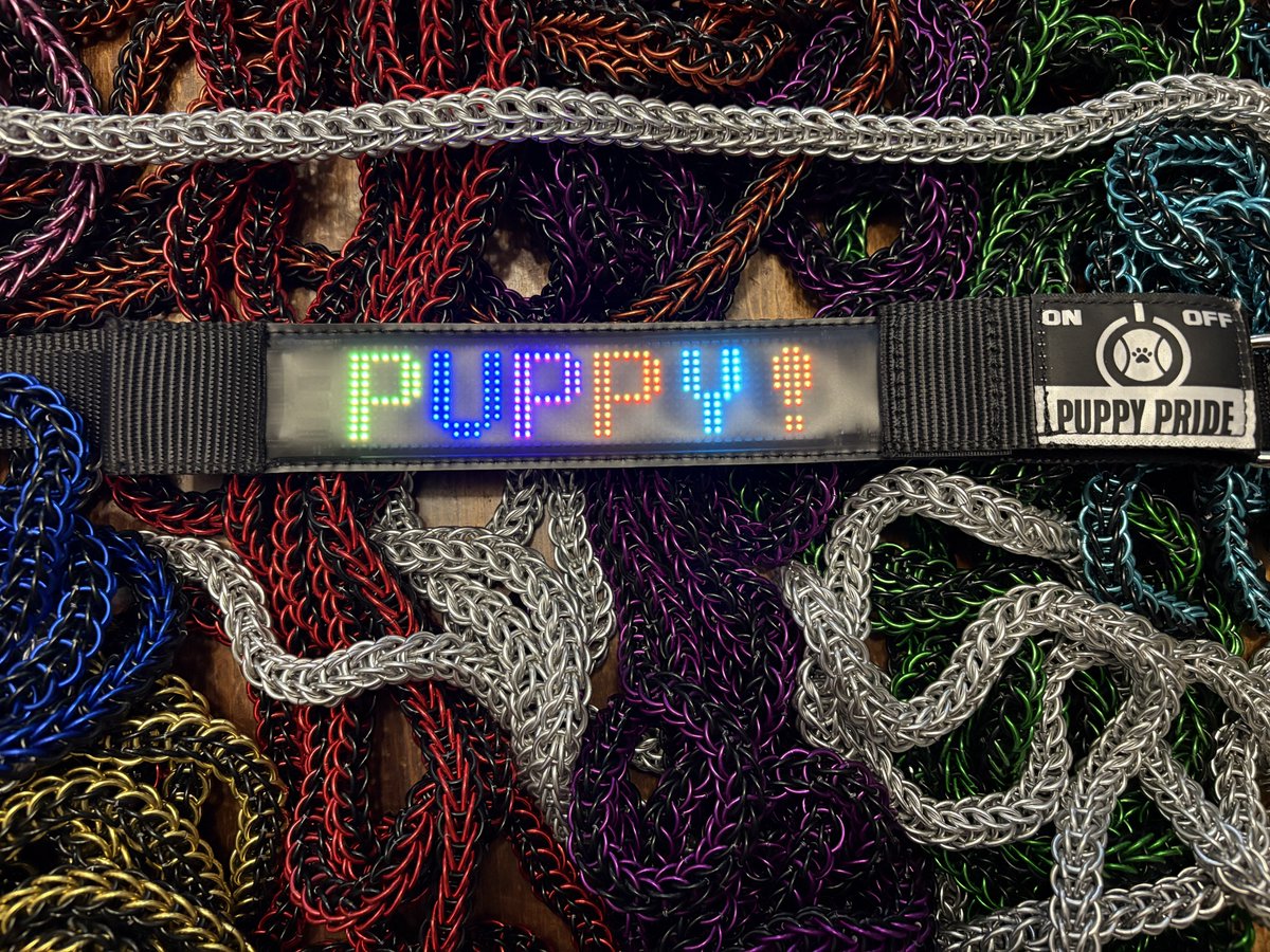 Puppy Pride 🐾 tweet media