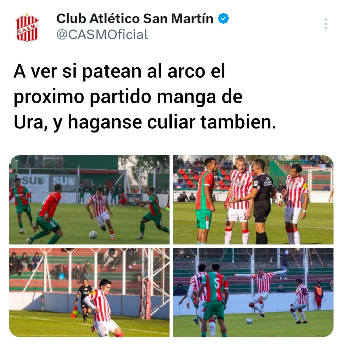 Un gato en la ciudad tweet media