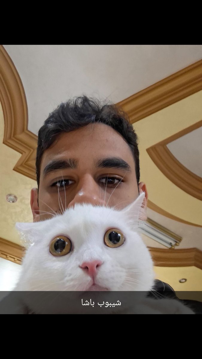 Omar Essam tweet media