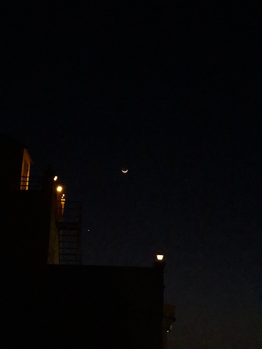 Omar Essam tweet media