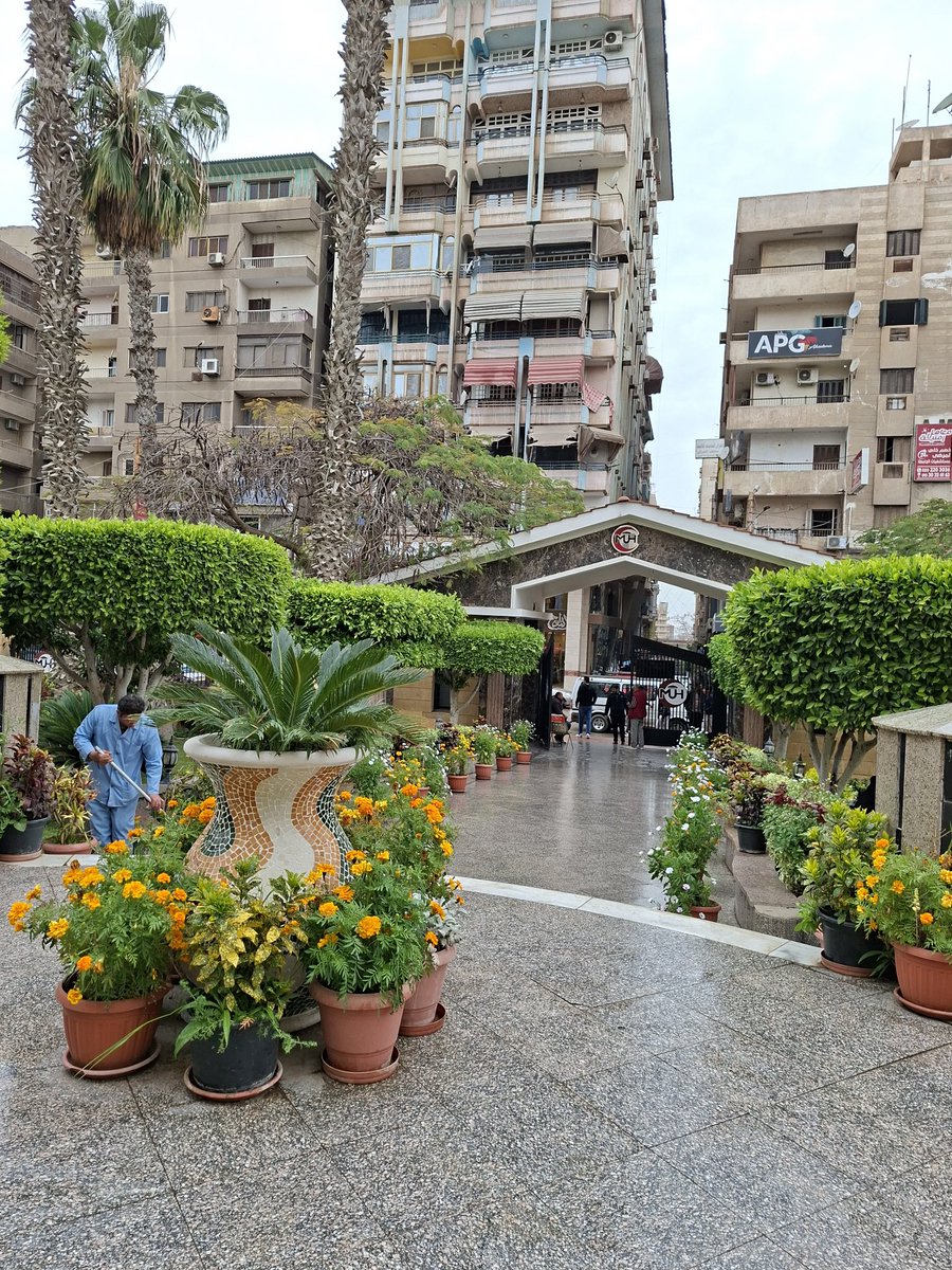 Omar Essam tweet media