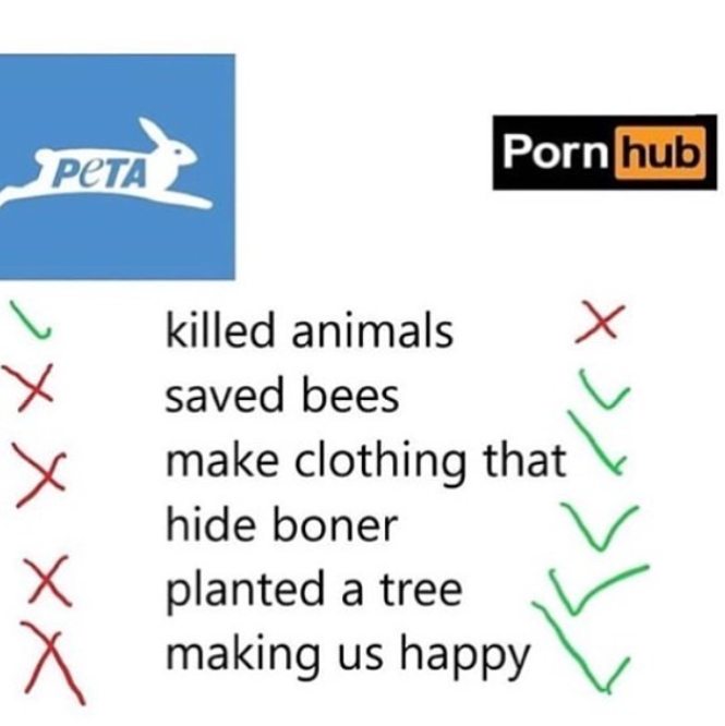 Shitpost 2077 (@shitpost_2077) on Twitter photo 