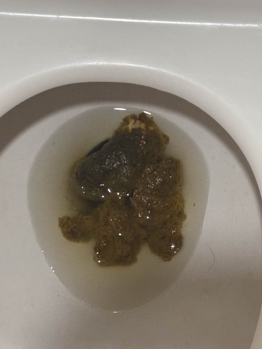 shittychubs's tweet photo. #scat #gayscat #toilet https://t.co/VKWhA7jcUU