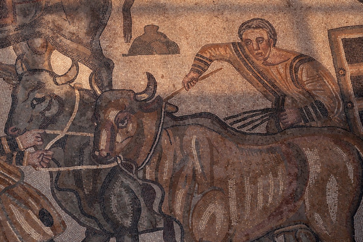 TerenceKerr5's tweet image. #MosaicMonday #Sicily #Roman

Hunters struggle to control two oxen pulling cart. Late Roman mosaic at grand villa built in the 300s CE at Piazza Armerina in Sicily, Italy, the Villa Romana del Casale. Mosaic is in villa’s Corridoio della Grande Caccia (Corridor of the Great