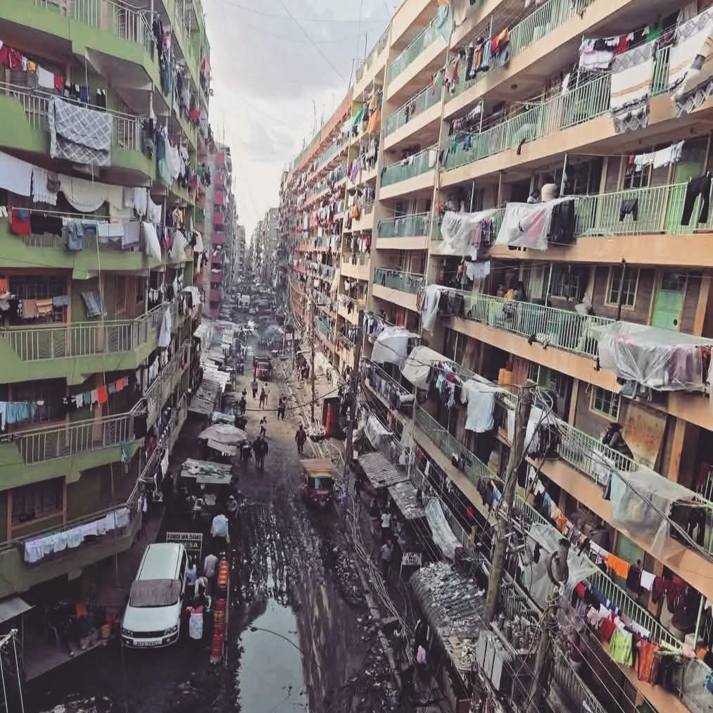 Theprolificthobby tweet media