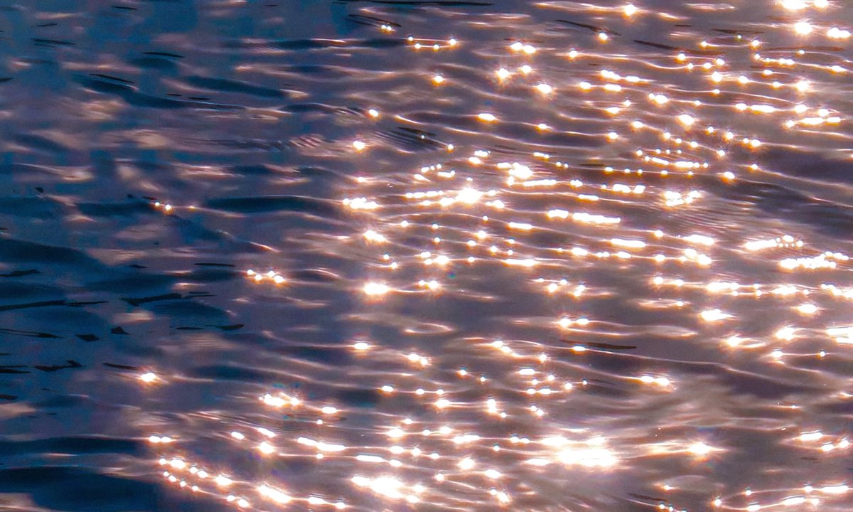 gardenofcolours's tweet photo. when sunlight turns water into glitter ✨ https://t.co/C0XuhRlc11