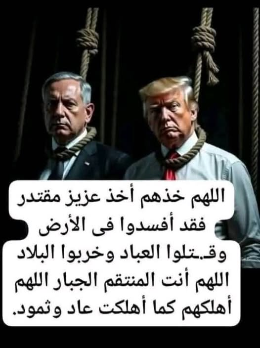 شيماء حافظ . حساب جديد في حب مصر . رقم 19 تحيا مصر tweet media