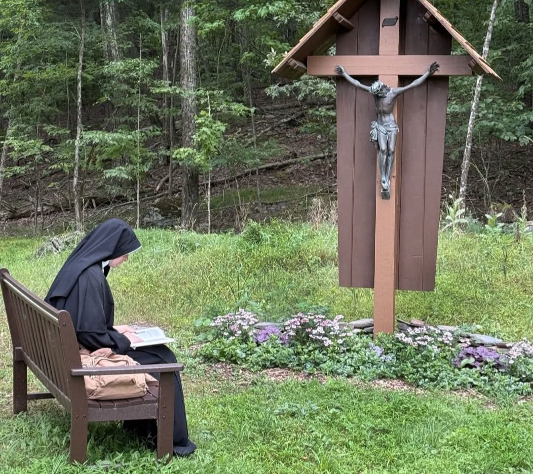 St. Maximilian tweet media