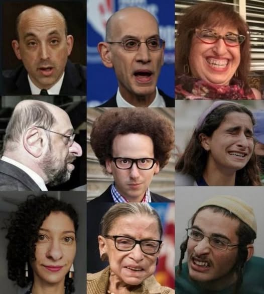 JEWS are a curse for humanity.🐒🇮🇱 🇷🇺 🇺🇸 tweet media