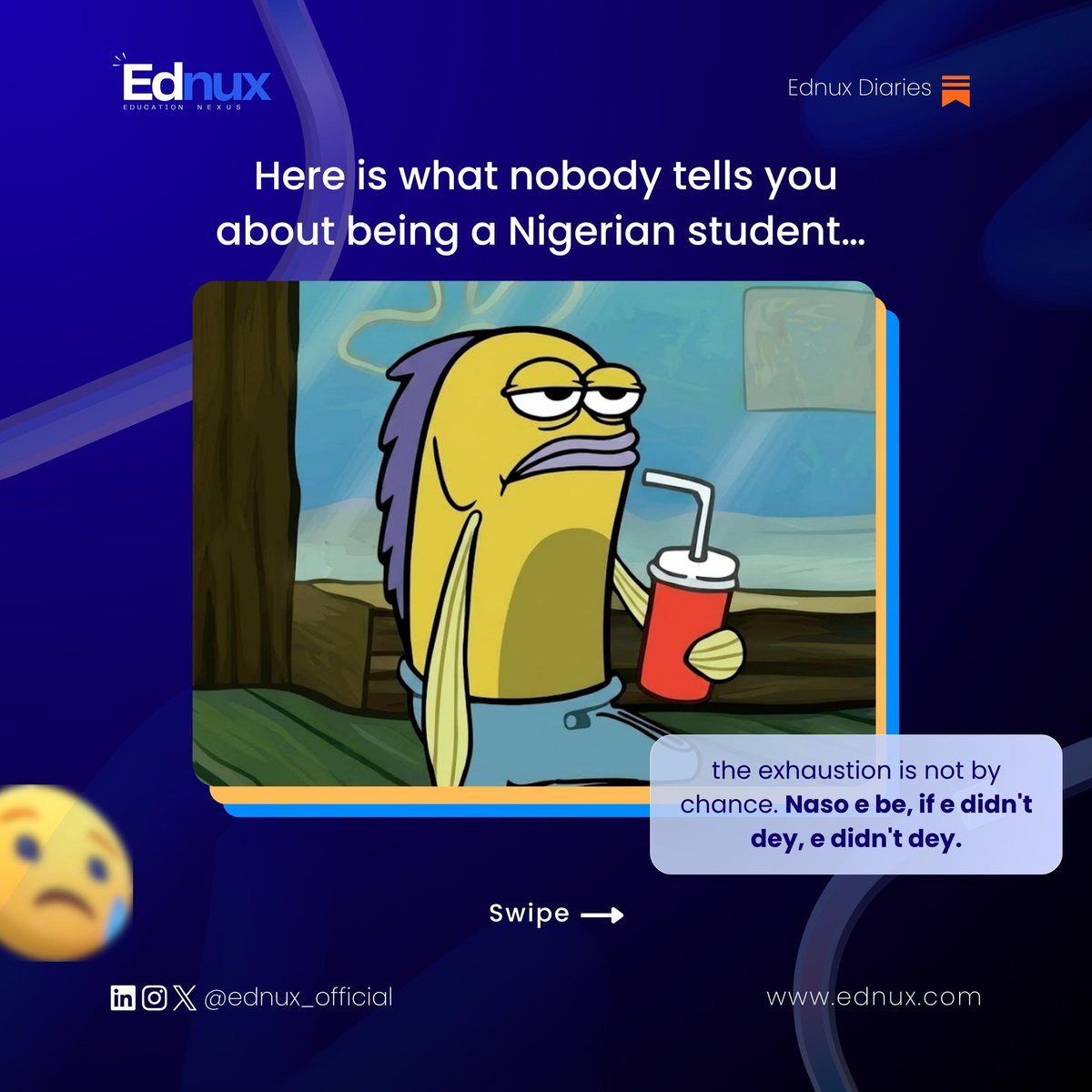 Ednux Official tweet media