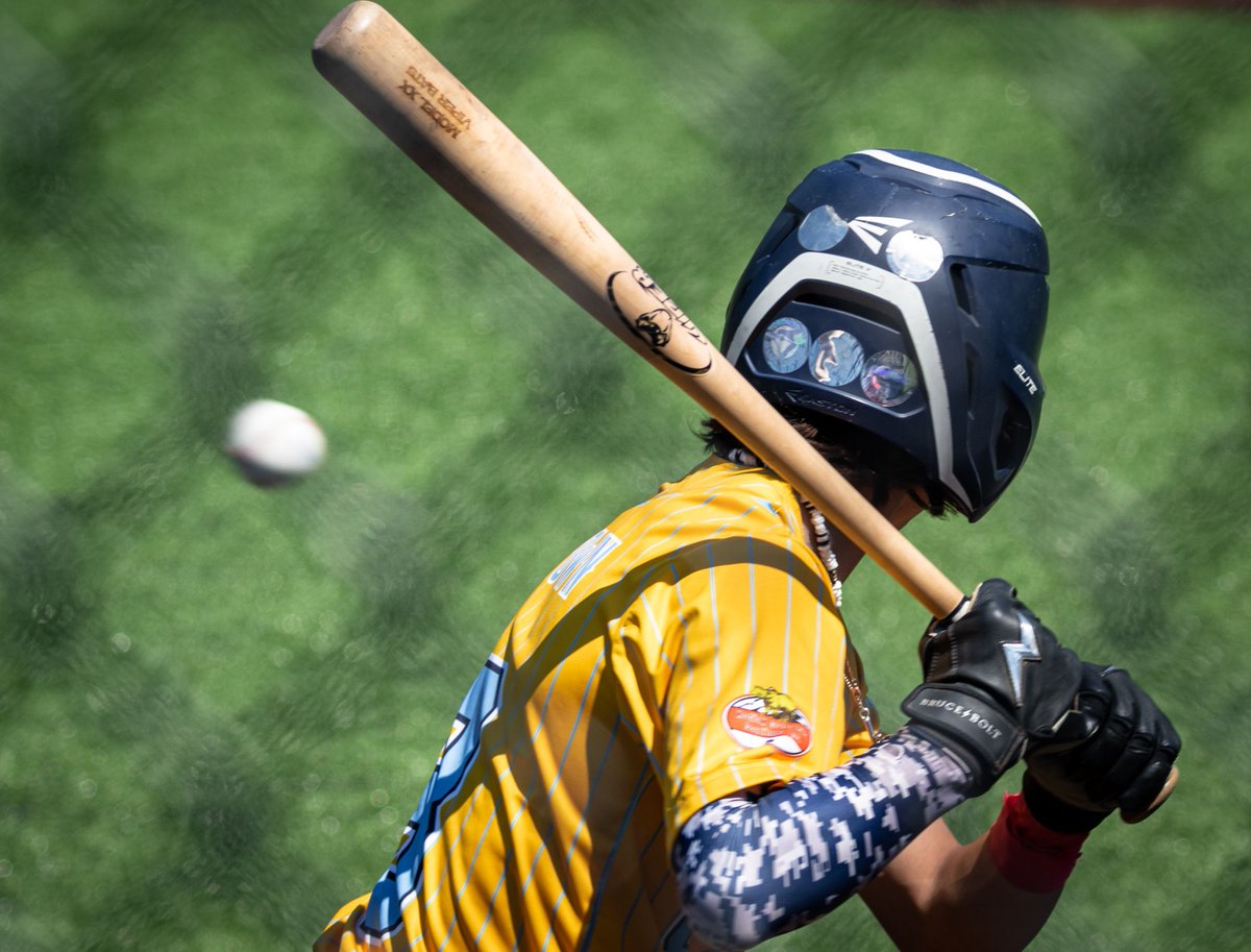 Viper Bats tweet media