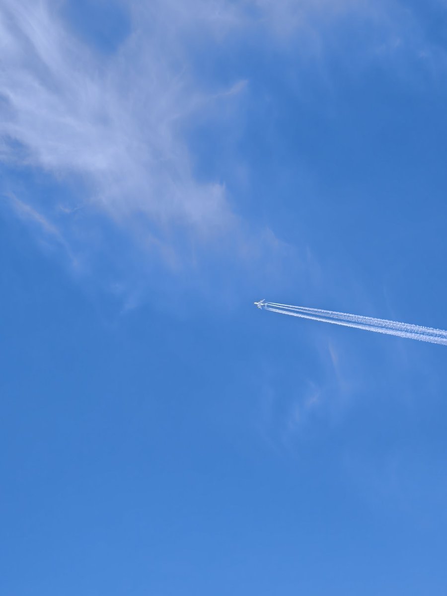 Cayla Galbraith tweet media