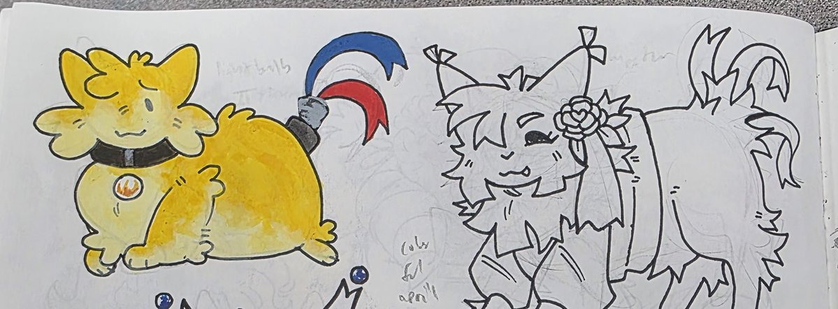 FANGNULL tweet media