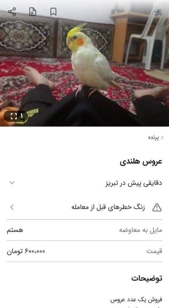 کیریسس tweet media