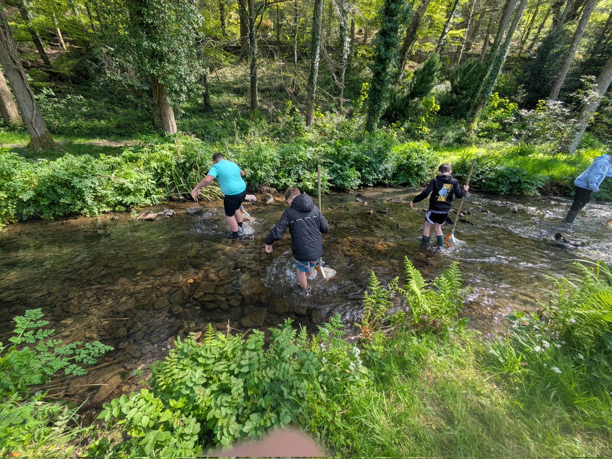 darwincentre's tweet image. Excellent kick sampling by @Year6PDCS @PDCSPrimary in Colby stream today! The class had a great time exploring life in freshwater and learning lots of field work skills. #STEMfieldtrip #LifeinFreshwater #Streams #Ponds #Sampling #Invertebrates #Habitats #Adaptations @DragonLng