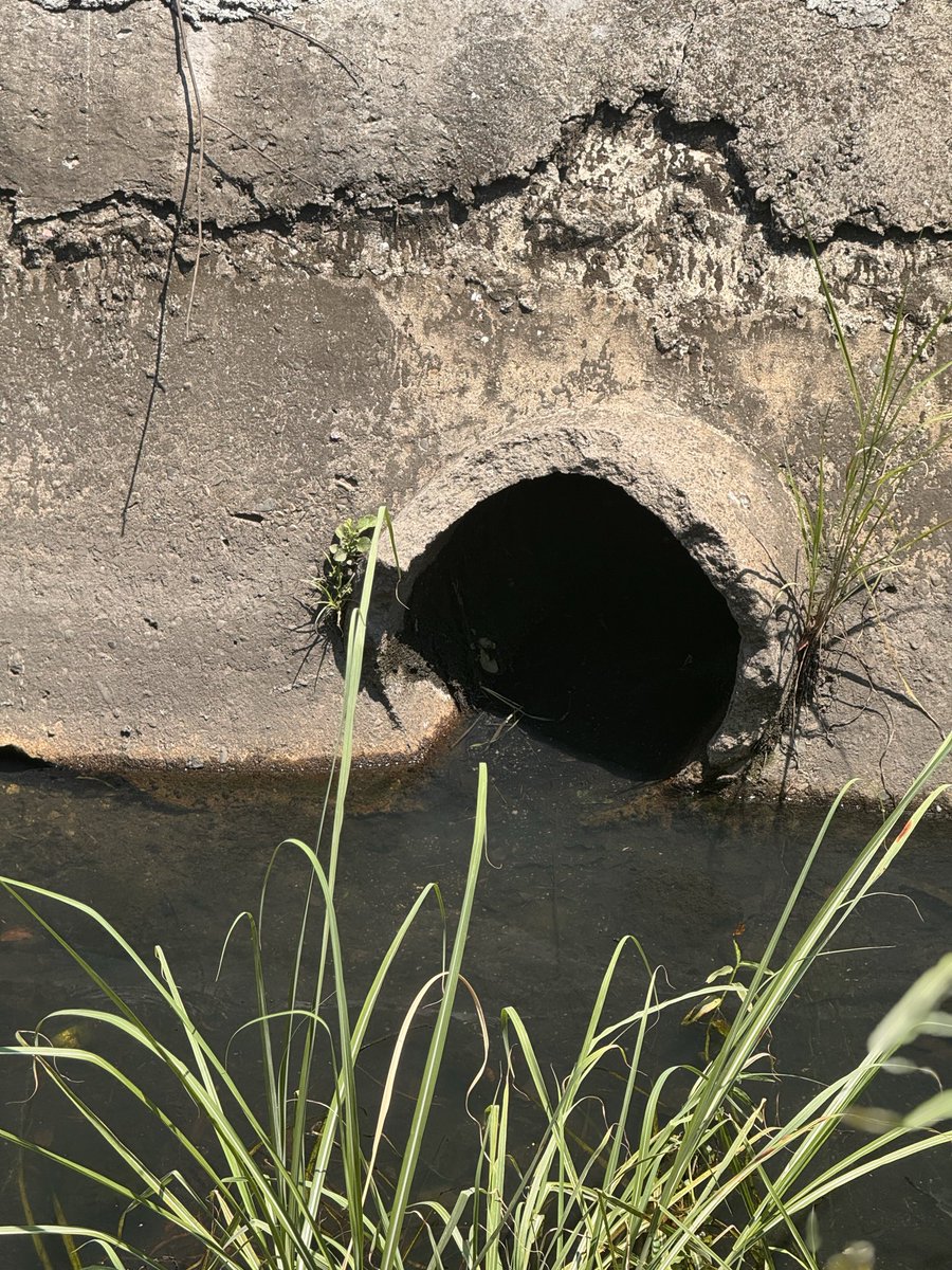 Junta Comunal de Parque Lefevre tweet media