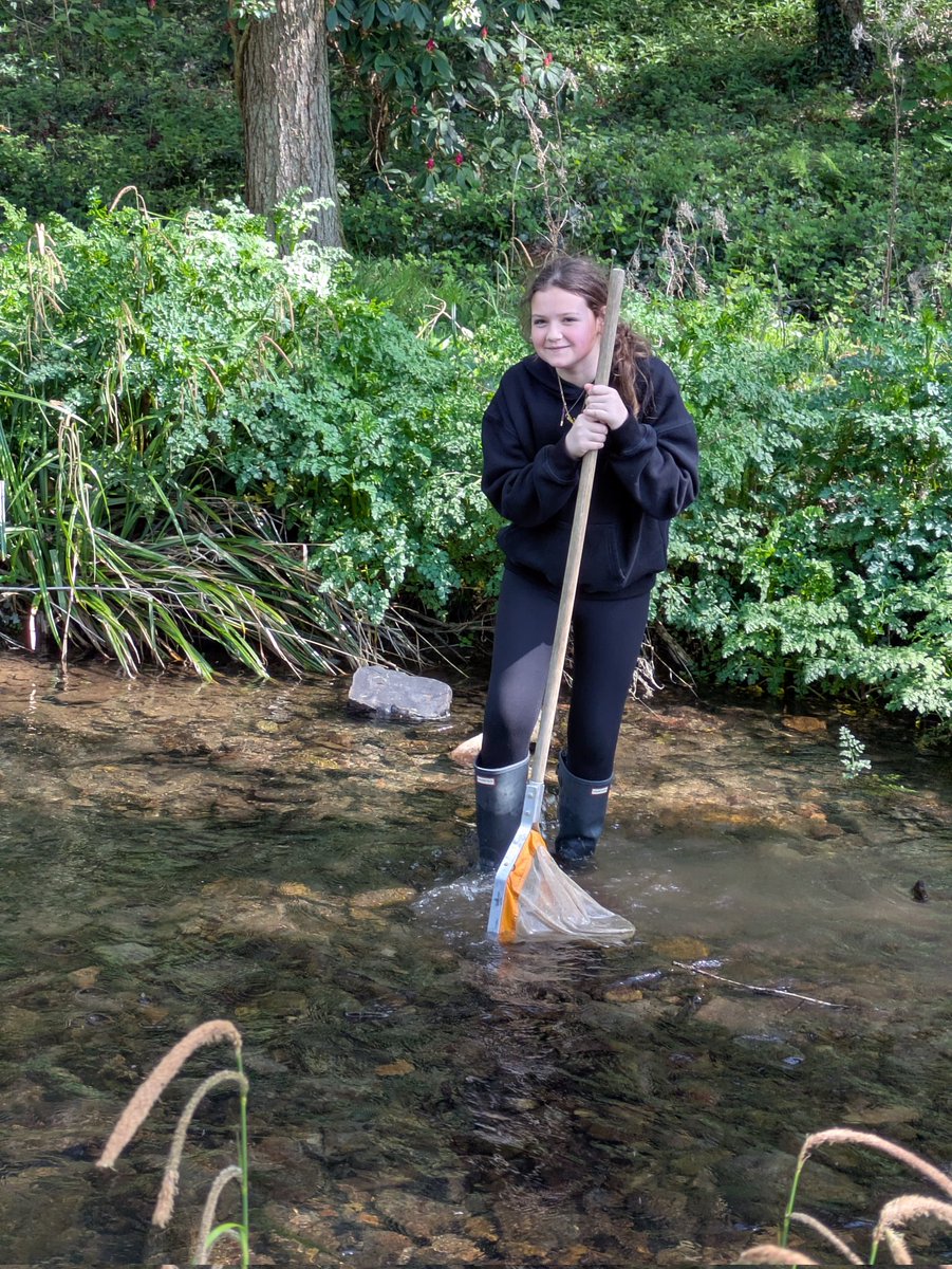 darwincentre's tweet image. Excellent kick sampling by @Year6PDCS @PDCSPrimary in Colby stream today! The class had a great time exploring life in freshwater and learning lots of field work skills. #STEMfieldtrip #LifeinFreshwater #Streams #Ponds #Sampling #Invertebrates #Habitats #Adaptations @DragonLng