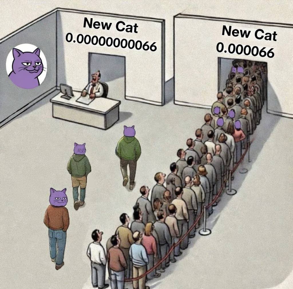 Impact-Driven 🔶🔥 tweet media