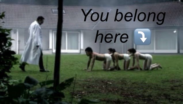 LetzgoBrandon tweet media