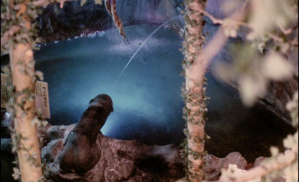 𝐁𝐞𝐬𝐭 𝐅𝐢𝐥𝐦 𝐅𝐫𝐚𝐦𝐞𝐬 tweet media