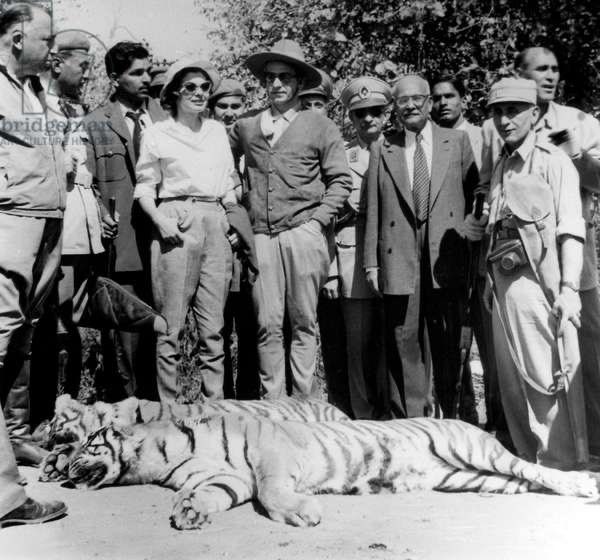 Saman Wilson 🎒 tweet media