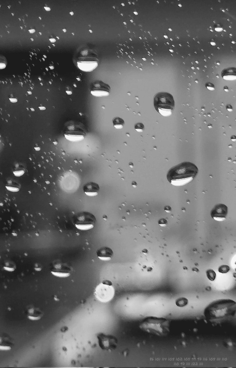 naozoom3970's tweet image. Day483【Verification】
The Japanese translation is followed by an English translation.
#monochrome
#NFTs
#photopoetry

NZPHOTOGRAPH &amp;amp; naozo

Day483 確認【Verification】

DEAR naozo,

確かめろ

見ただけで
分かった気になるな

触れろ

触れた瞬間にしか
立ち上がらない現実がある

目は