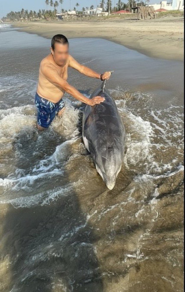 José Díaz tweet media