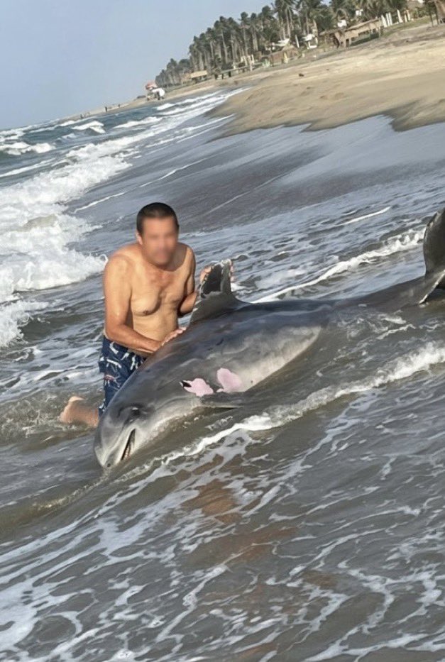 José Díaz tweet media