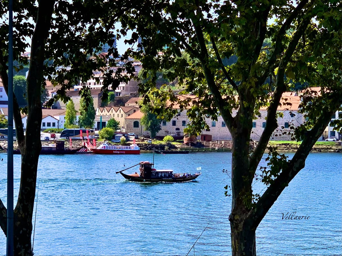 VijayEllaurie's tweet image. Happy New Week🕊️"Blessed are those who greet each new week as a fresh canvas for creating their dreams."💙😇🕊️