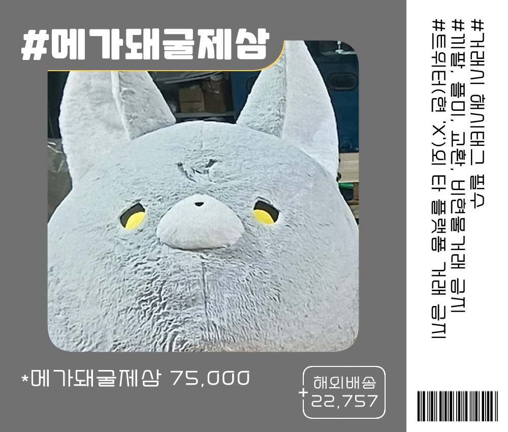 🚷룽 (통판) tweet media