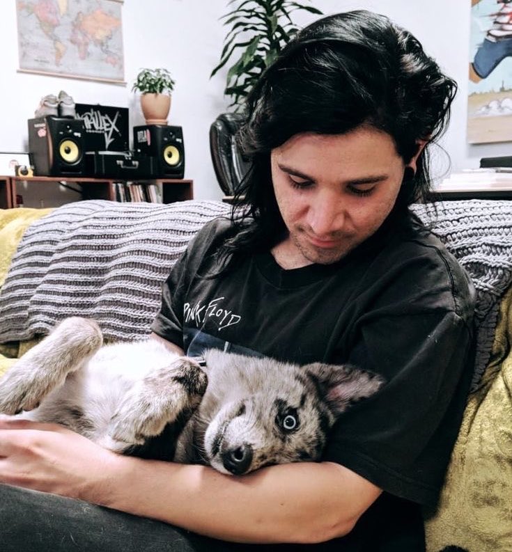 acervo skrillex da silva tweet media