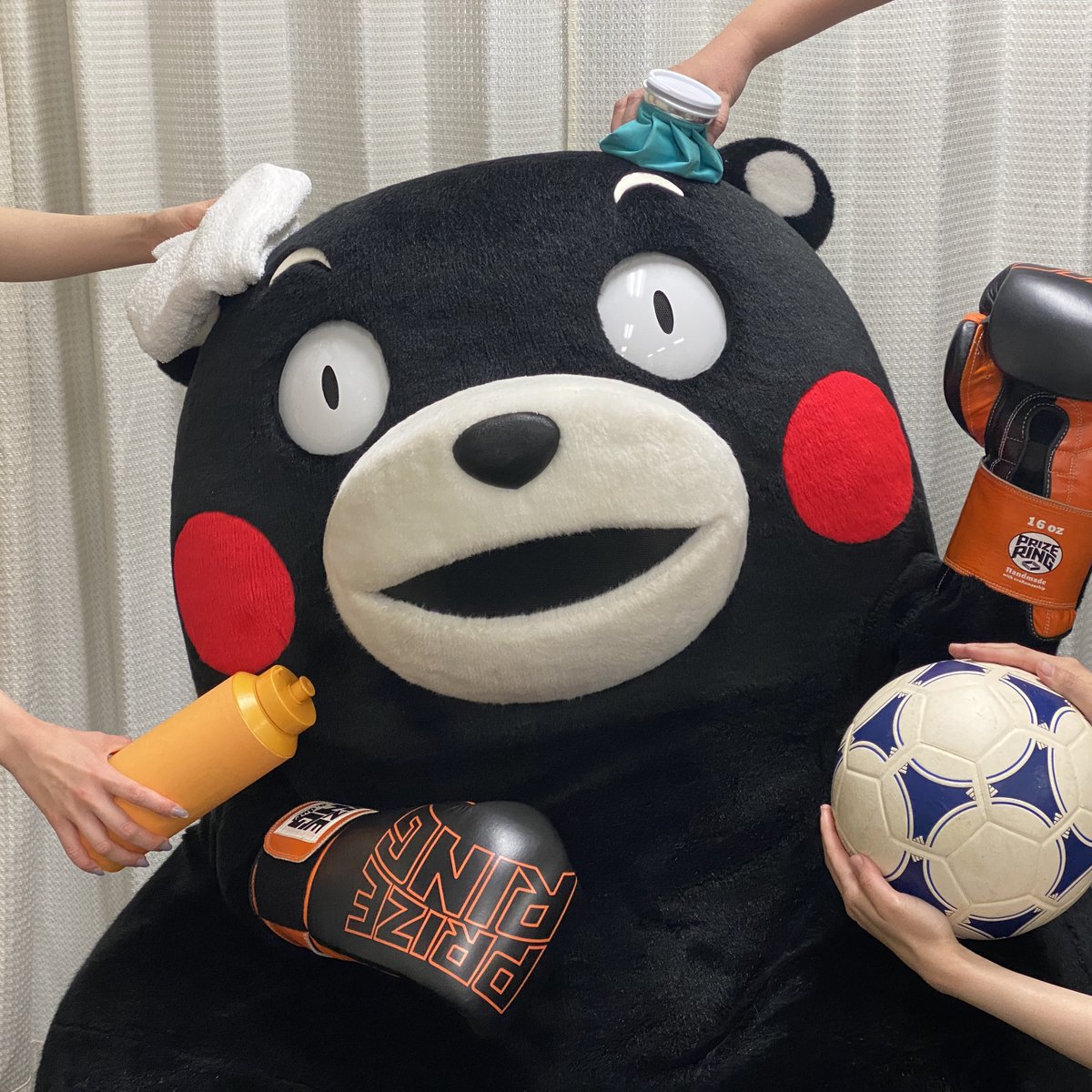 明日もがんばるモン。おやくま〜☆