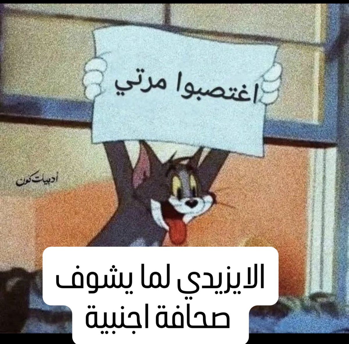 المُبجل الشمري 🇮🇶 tweet media