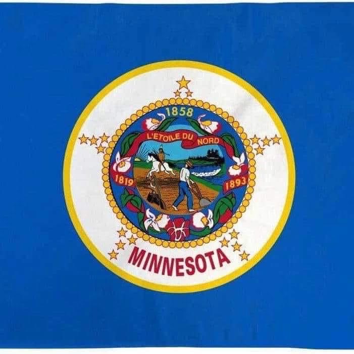 Minnesota Lady America First🇺🇸 tweet media