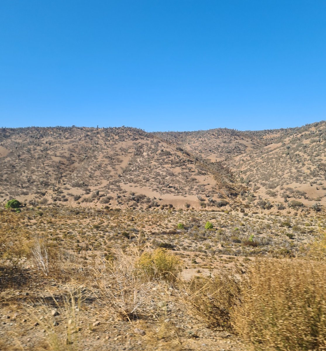  rorodjmix  tweet media