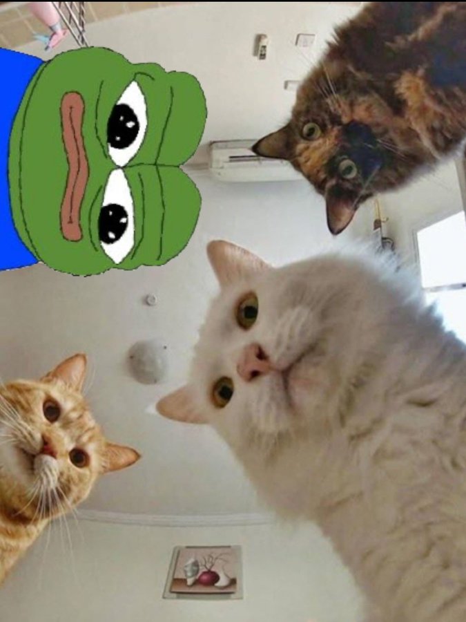 no̵̮͈̟̞͚͗̏b̶̢̭͈͖̥͓̹͈͉̔̋̎̽̑ͅo̸̞͉̿͛̐̓̌̑̒͆dy tweet media