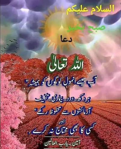 کنیز سمرا🇵🇰 tweet media