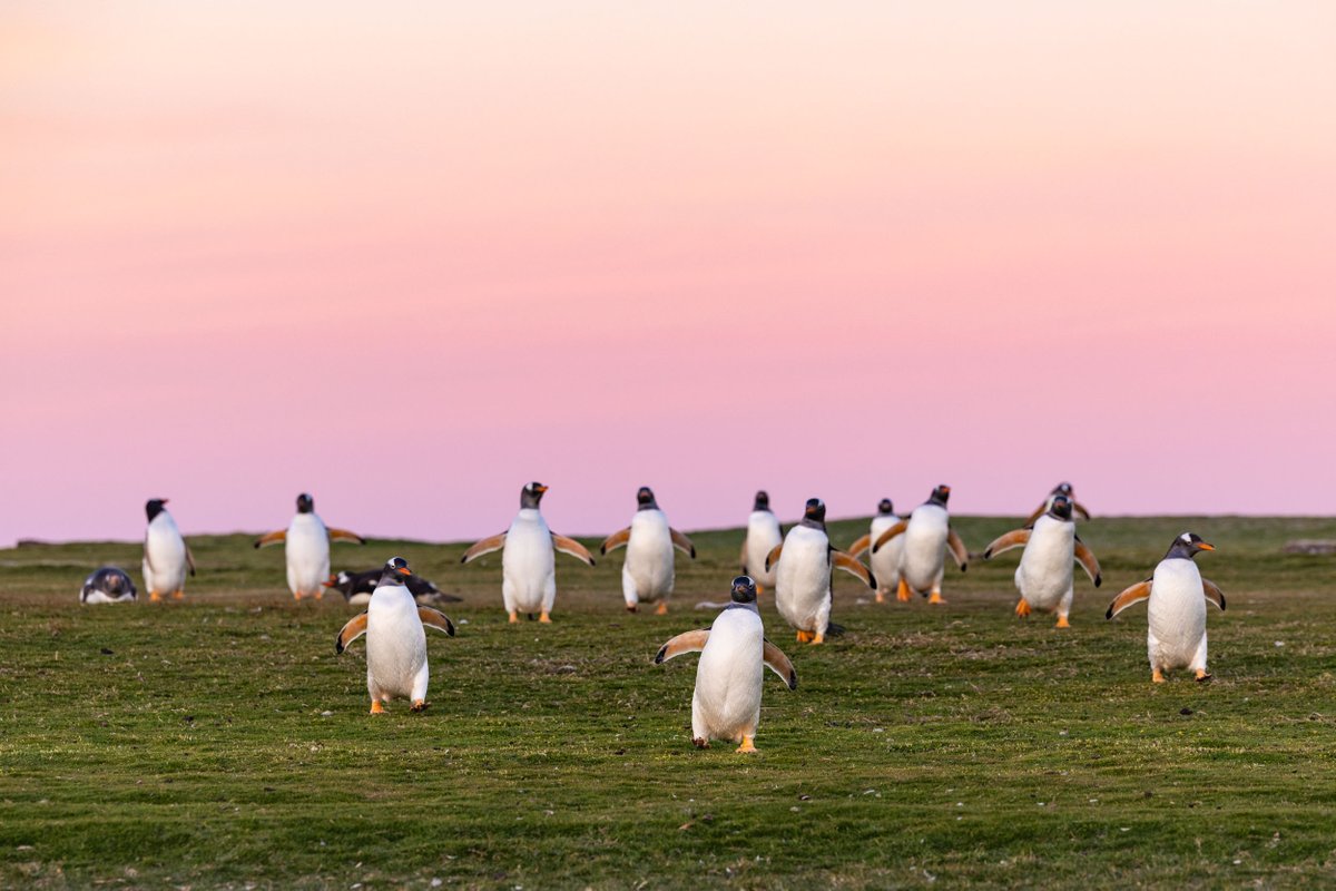 Yusuke Okada｜岡田裕介 tweet media