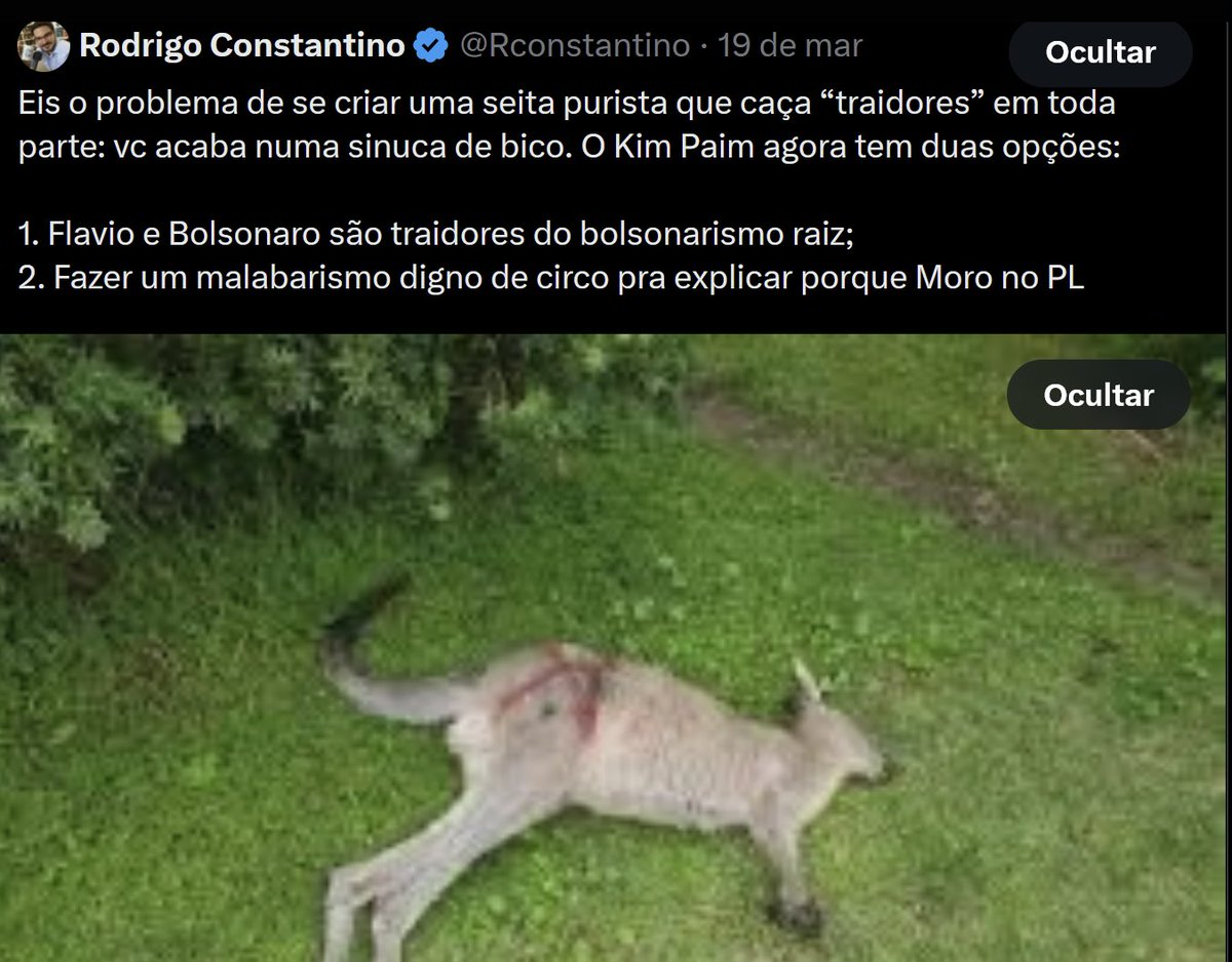 Kim D. Paim tweet media