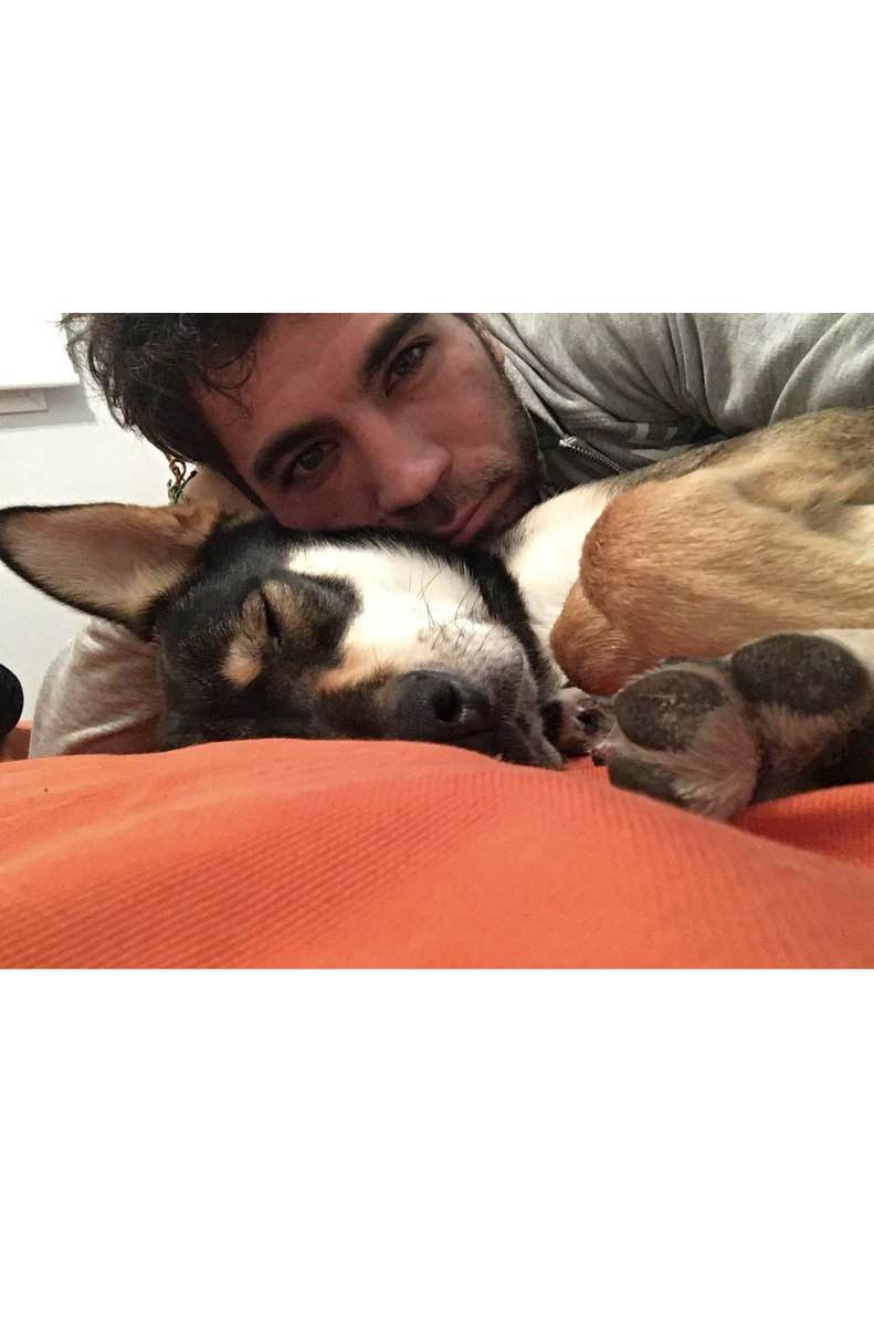 Hoy cumple 10 años Timón

Mi amigo, mi más fiel compañero

*escribí esto llorando