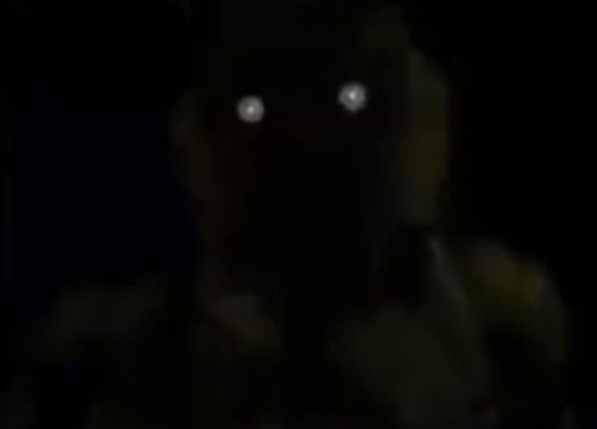 JustTravis tweet media