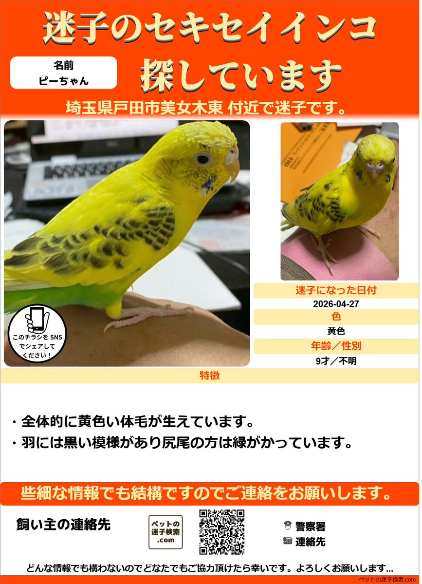 【本家】ペットの迷子検索.com tweet media