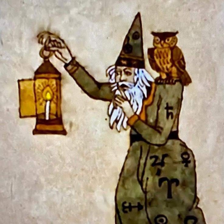 ⋆.·★ ℱₗₒᵣₐ ★·.⋆ tweet media