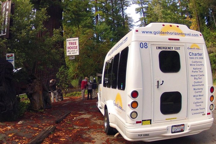 GHTPrivateTours's tweet image. ✨Explore #RedwoodNationalPark, home of ancient #GiantRedwoods 🌲&amp;amp; Northern #California hidden treasures. Walk beneath the tallest living trees on Earth and experience #nature on a whole new scale🌿#bucketlist #bucketlisttravel #travelgoals #wanderlust / #GoldenHorizonTravel Inc.